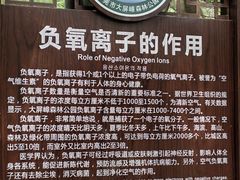 -大屏嶂森林公园