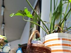 -懒人盐府人家(安贞店)