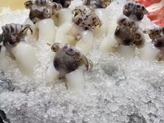 -帝皇海海鲜豆捞(桐泾商务广场店)
