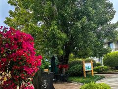 -福建鲤鱼洲酒店