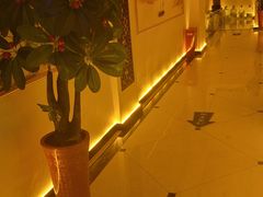 -紫荆花·影院足道·SPA(千灯店)