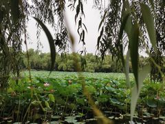 -长春市南湖公园