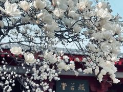 -大慈恩寺(大雁塔)