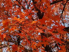 -长辛店二七公园