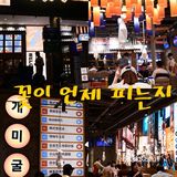 按头安利！广州首家韩料大排档秒穿韩国🇰🇷
