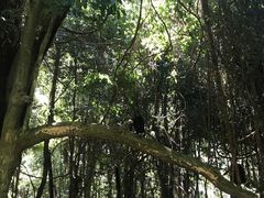 -悉尼蓝山三姐妹峰
