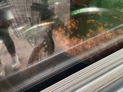 -灵山卢梅燕粉店