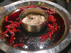 -大龙燚火锅(春熙店)