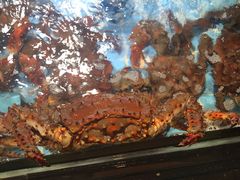 -79号渔船海鲜饭店(宝安店)