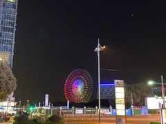 -MR鹅外