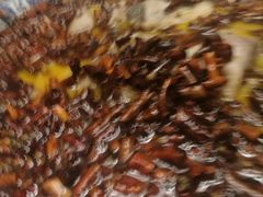 水煮鱼-玫瑰园(中央路店)