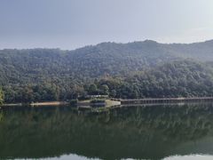 -桃花岭景区