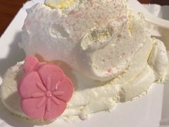 -格瑞思动物奶油生日蛋糕(园区永旺店)