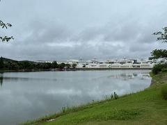 -羊山湖公园