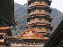 -天目山大树王景区