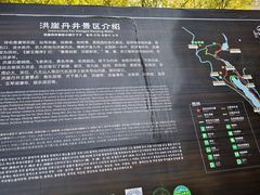 -洪崖丹井