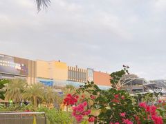 -观澜湖新城运动奥莱区