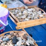 探索恐龙宝石让宝贝学习更多的课外知识😉