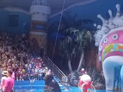 -烟台海昌鲸鲨海洋公园