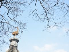 -香雪海