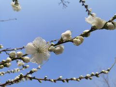 -永定河休闲森林公园