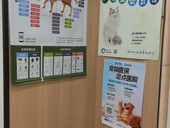-米苏动物医院·犬猫专科·骨科外科内窥镜