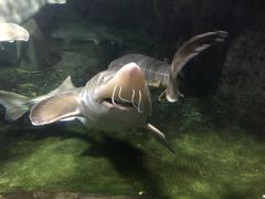 -左海海底世界