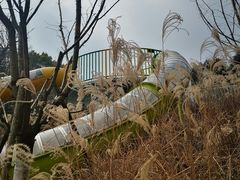 -杭州少年儿童公园
