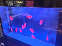 -蔓想足道·SPA·按摩·养生(合生汇店)