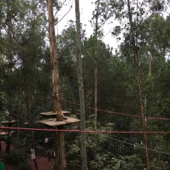 -成都飞越丛林(锦绣城园区)