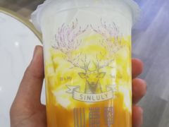 -仙鹿黎·新网红台式茶饮(沈北华强店)