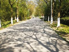 -白塘生态植物园