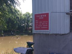 -1982农场