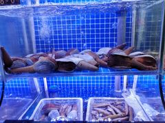 -捞围鲜·港式打边炉(海阳路店)