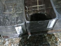 -水云居