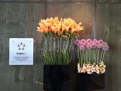 -广州四季酒店