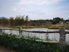 -爱妈妈家政 珠江新城