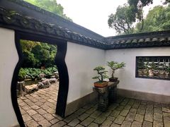 -上海醉白池公园