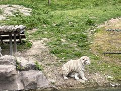 -宁波野生动物园