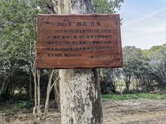 -上海滨江森林公园