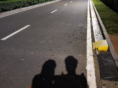-羊山湖公园