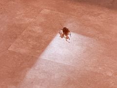 -客悦庭·长沙精致料理(合川路店)