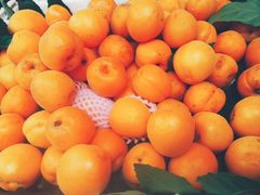 -南门绿玉农贸市场