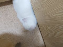 -妈妈故事米线(市府恒隆店)
