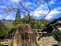 -林坑古村落