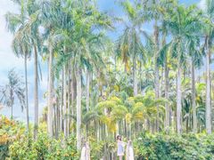 -中国科学院华南植物园