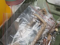 -半岛宠物医院24小时(白果林店)