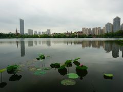 -成都南湖公园