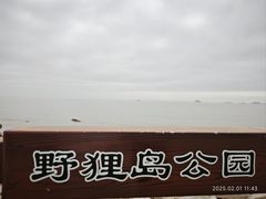 -野狸岛
