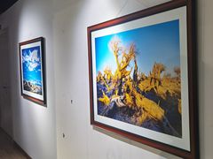 -星光摄影器材城